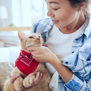 ค้นหาคอนโดมิเนียม Pet-Friendly ที่ตรงใจคุณ